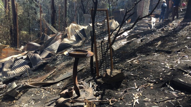 Separation Creek and Wye River were sitting ducks for bushfire. Photo: Andrew Holden