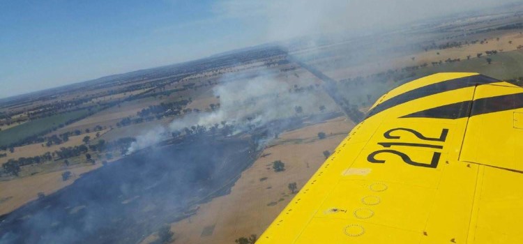 Bureaucratic nonsense – Local farmer