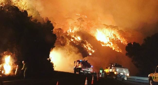 Great Ocean Road bushfire bill to exceed $100m Great Ocean Road bushfire bill to exceed $100m