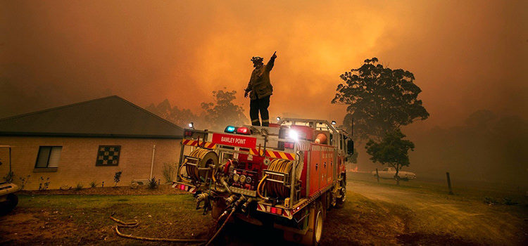 NSW is paying the price for lack of land management