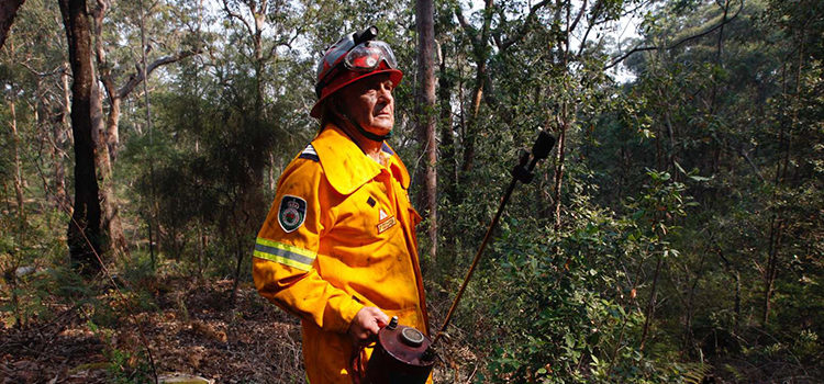 Prescribed burning ‘key to controlling fires’
