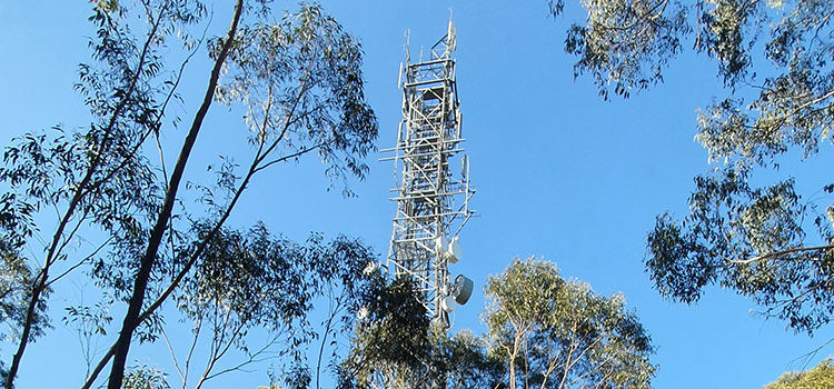 AMTA Submission to the Royal Commission