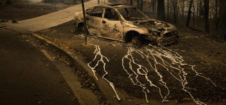 Conjola Park photo wins 2nd Prize at World Press Photo Contest