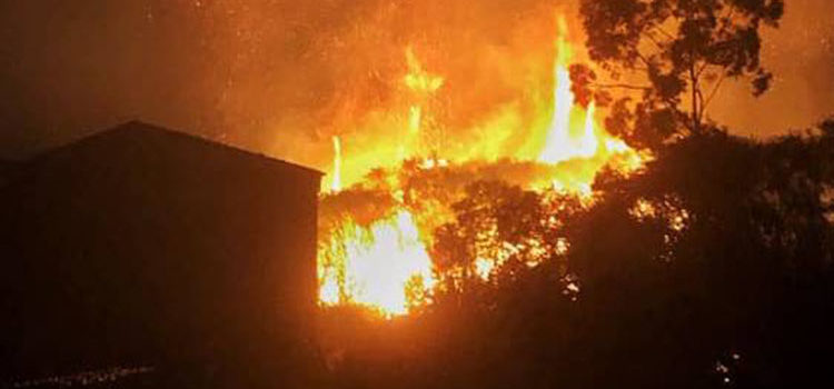 News Roundup April 28