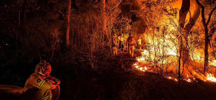 News Roundup 16th June