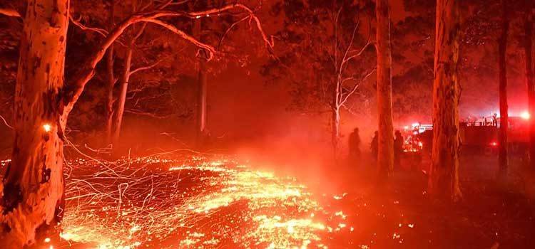 News Roundup 23rd June