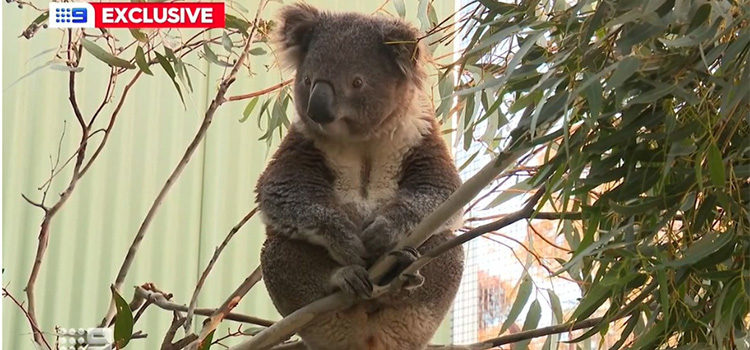 News Roundup June 30