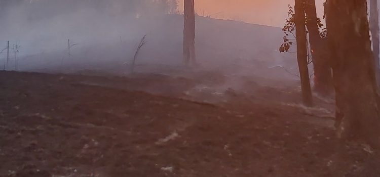 Inadequate firefighter safety in southeastern Australian forests, its past time to turn it around.
