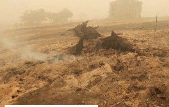 Assessment of the impacts of large,severe and intense bushfires across South East Australia. Assessment of the impacts of large,severe and intense bushfires across South East Australia.